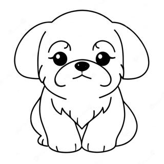 Shih Tzu Páginas Para Colorear