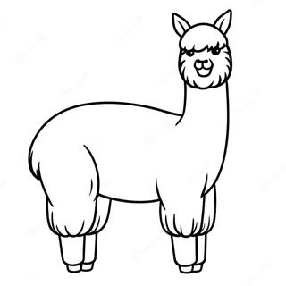 Alpaca Páginas Para Colorear