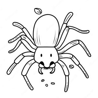 Pagina Para Colorear Tarantula 40103-31695