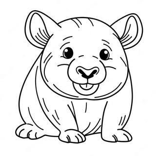 Pagina Para Colorear De Un Wombat 55943-44257